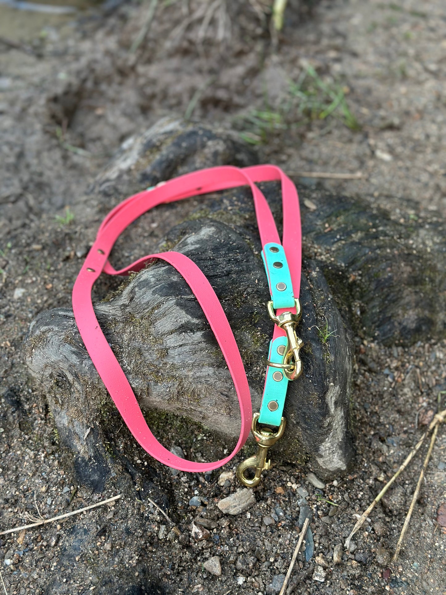 Double-ended Lead