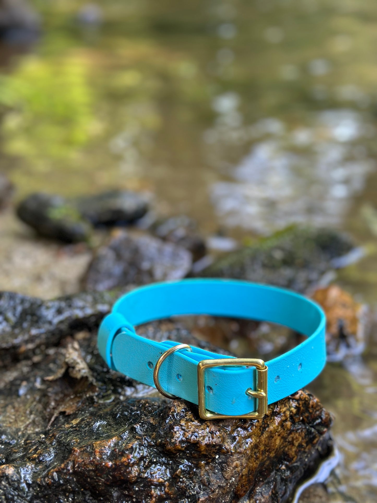 Classic Collar