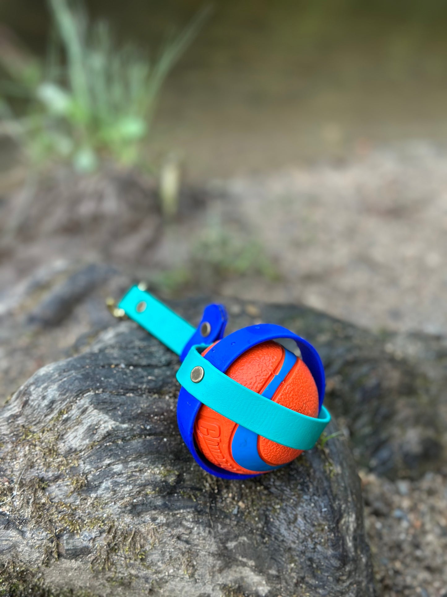 Large BioThane® Ball Holder